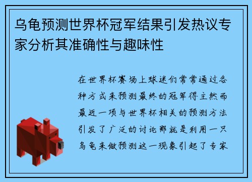 乌龟预测世界杯冠军结果引发热议专家分析其准确性与趣味性
